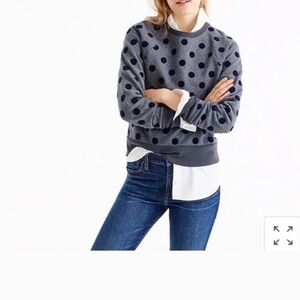J. Crew Gray Sweatshirt with Navy Polka Dots